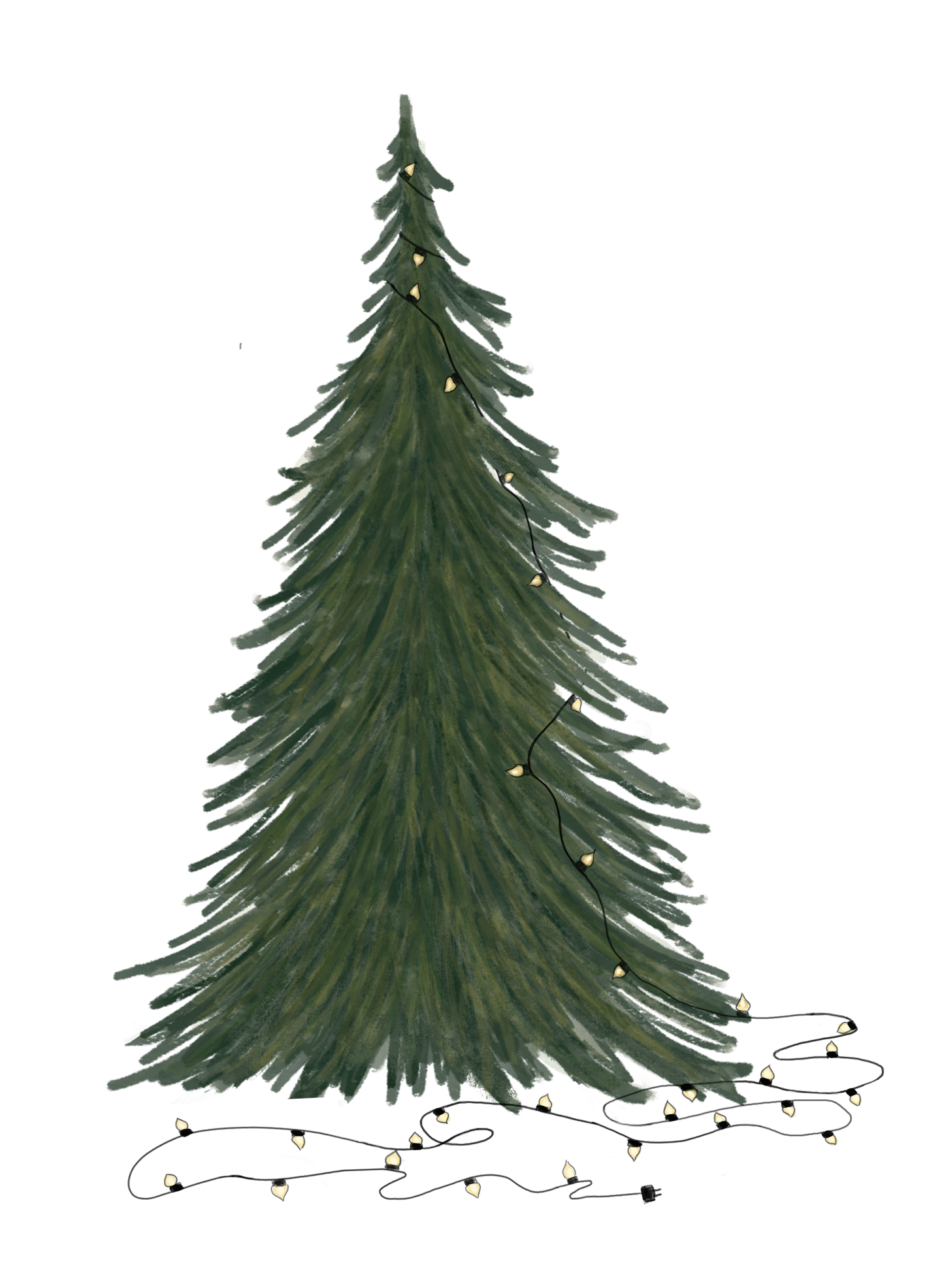 kerstboom, kerstlampjes, boom